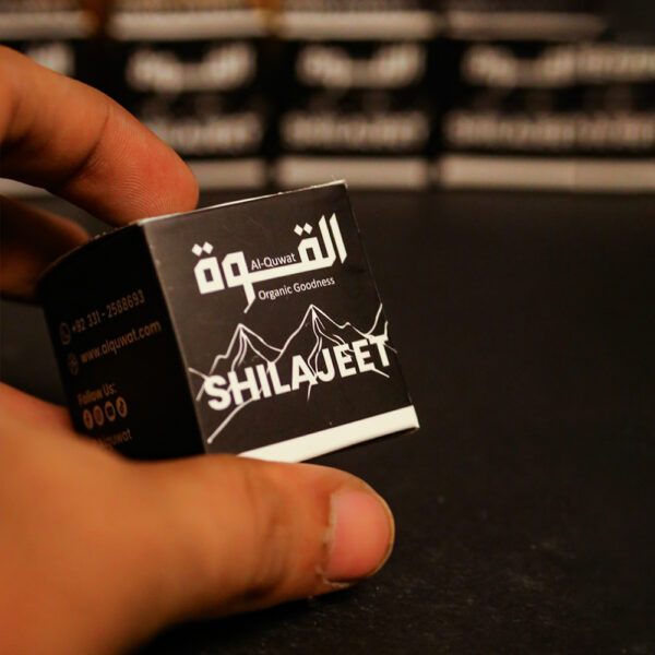 Shilajit - Image 4